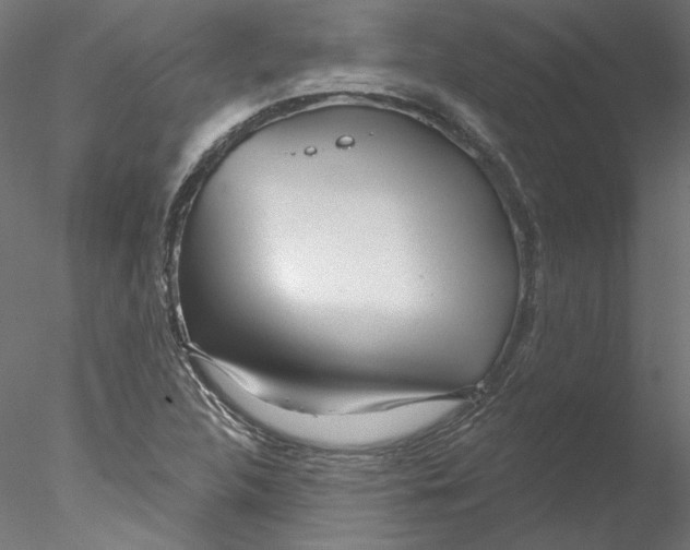 X0000076381312200611031619