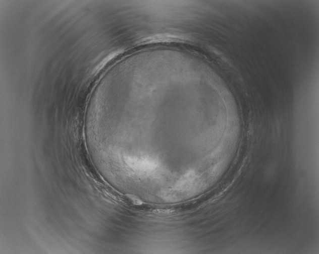 X0000076381313200611031619