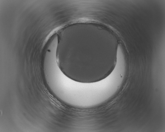 X0000076381314200611031619