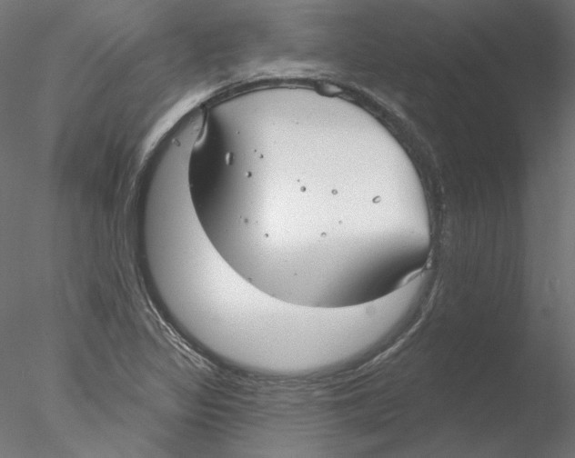 X0000076381317200611031619