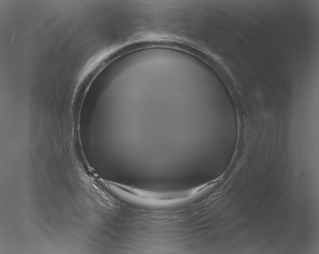 X0000076381319200611031619