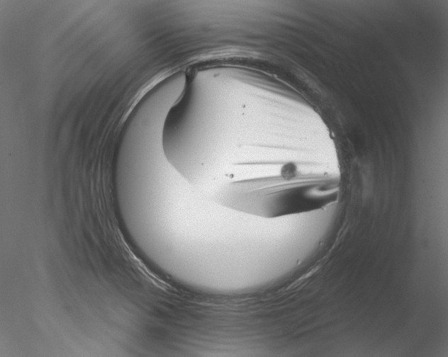 X0000076381321200611031619