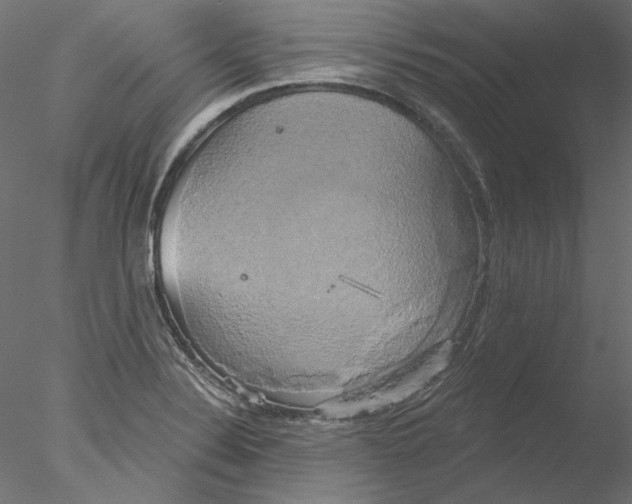 X0000076381324200611031619