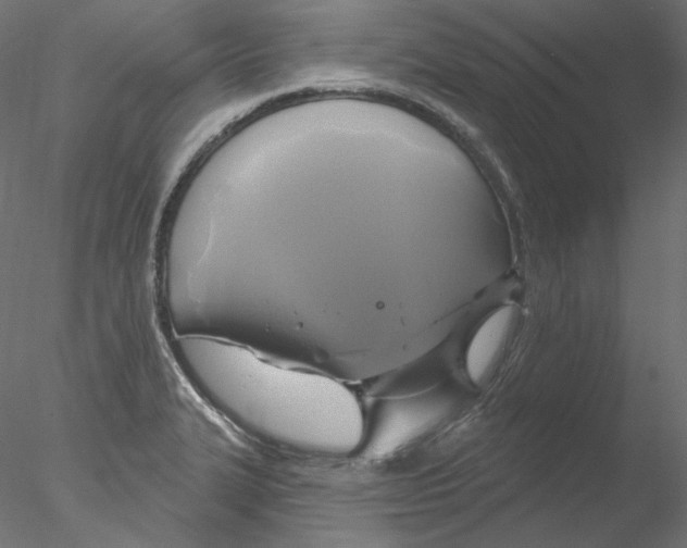 X0000076381327200611031619