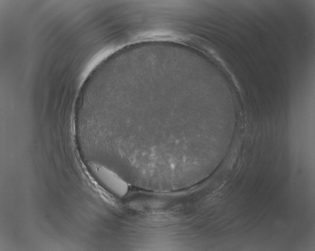 X0000076381328200611031619