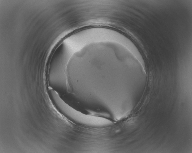 X0000076381331200611031619