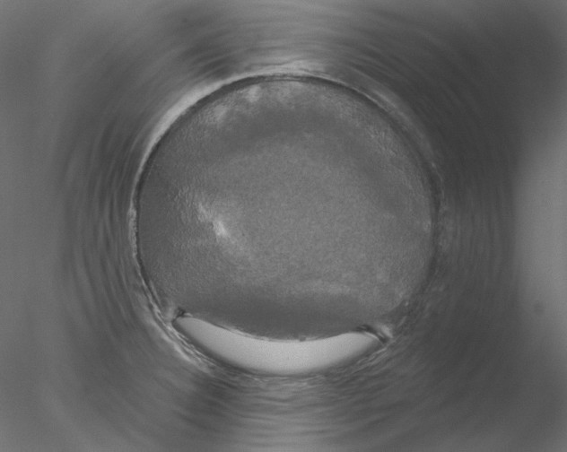 X0000076381332200611031619