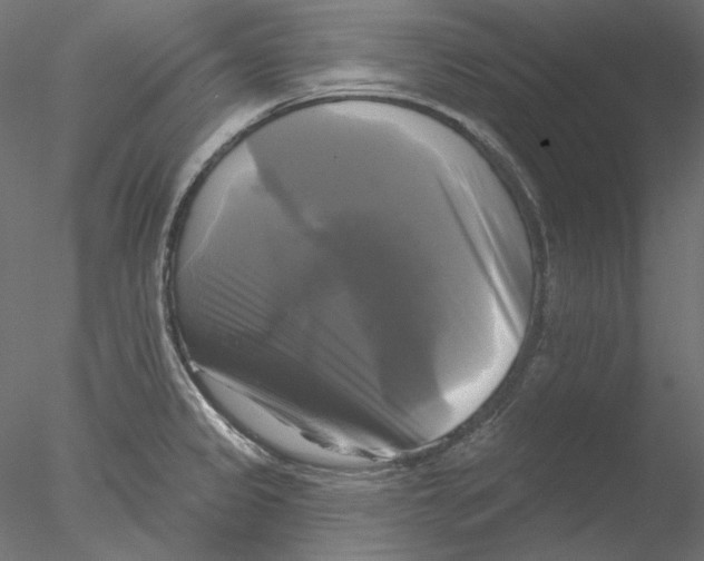 X0000076381333200611031619