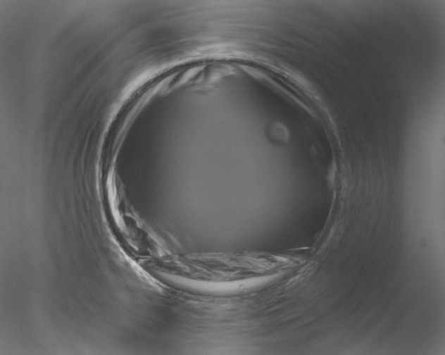 X0000076381334200611031619