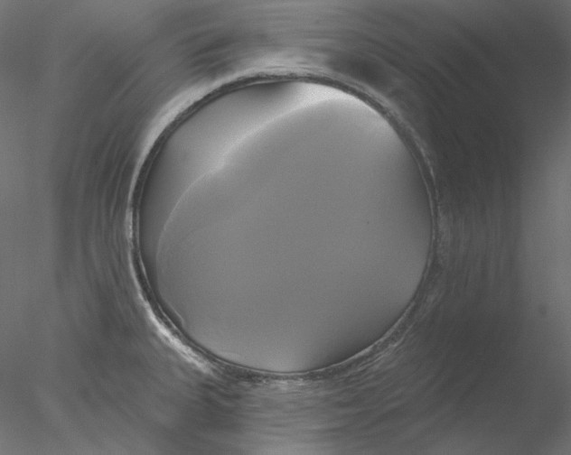 X0000076381335200611031619