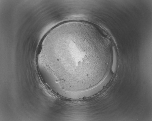 X0000076381336200611031619