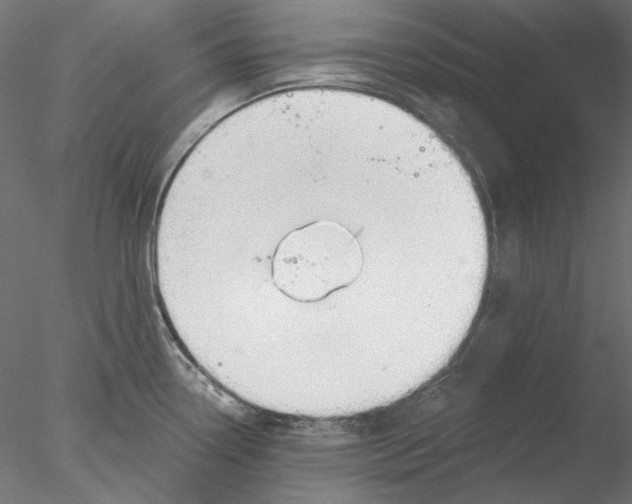 X0000076381338200611031619