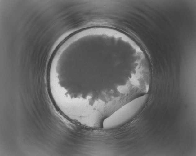 X0000076381339200611031619