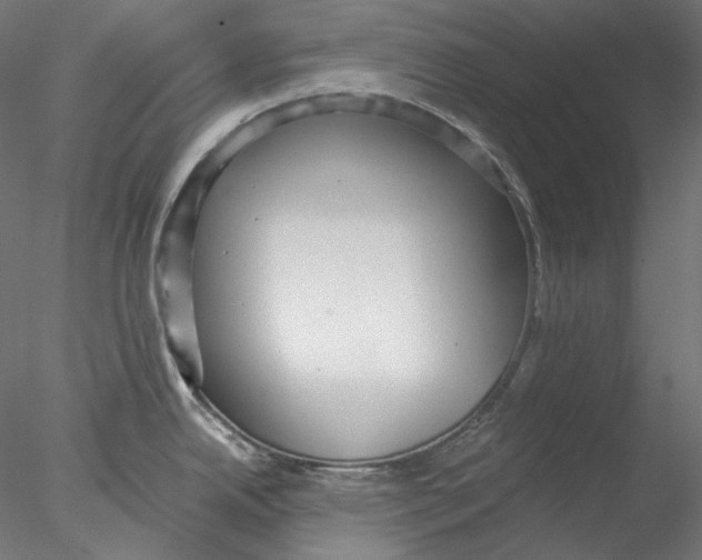 X0000076381342200611031619