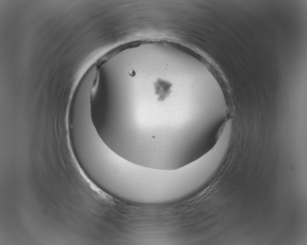 X0000076381343200611031619