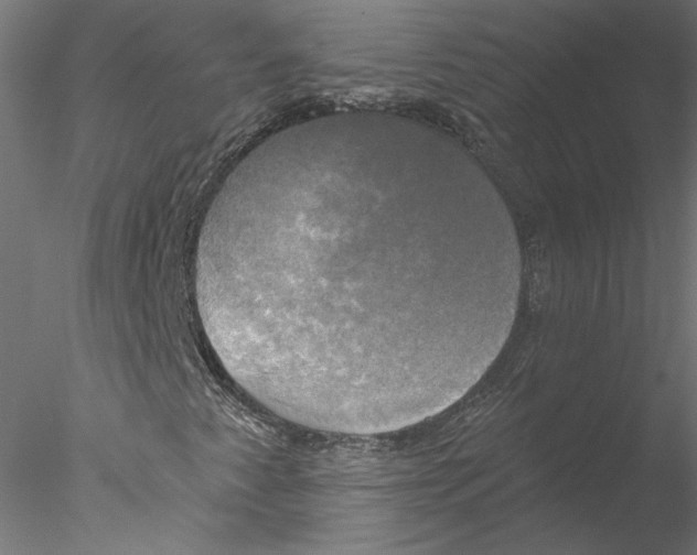 X0000076381345200611031619