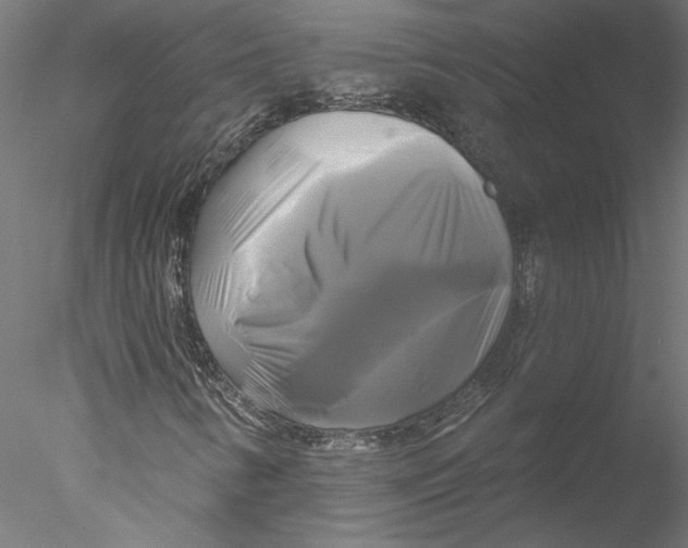 X0000076381346200611031619