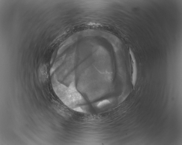 X0000076381347200611031619