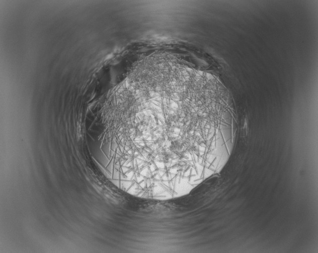 X0000076381348200611031619