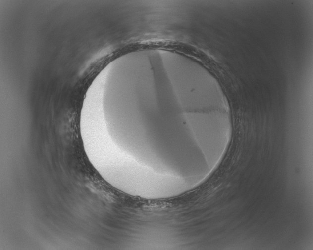 X0000076381351200611031619