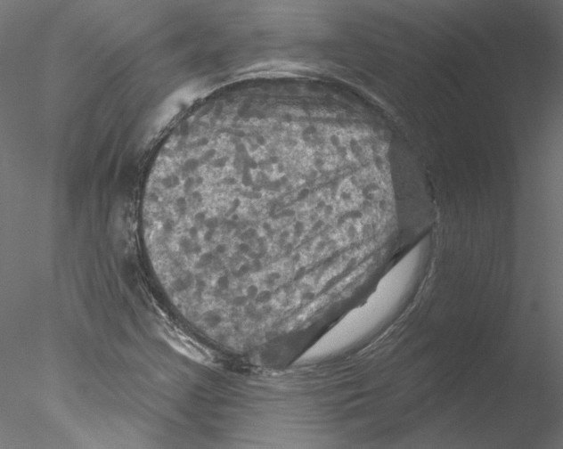 X0000076381355200611031619