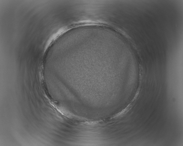 X0000076381357200611031618