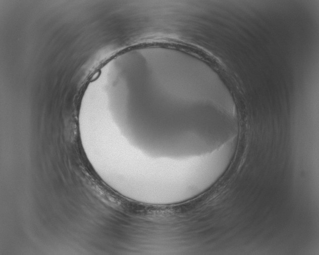 X0000076381363200611031618