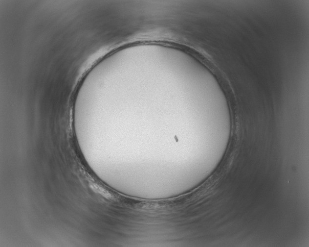 X0000076381366200611031618