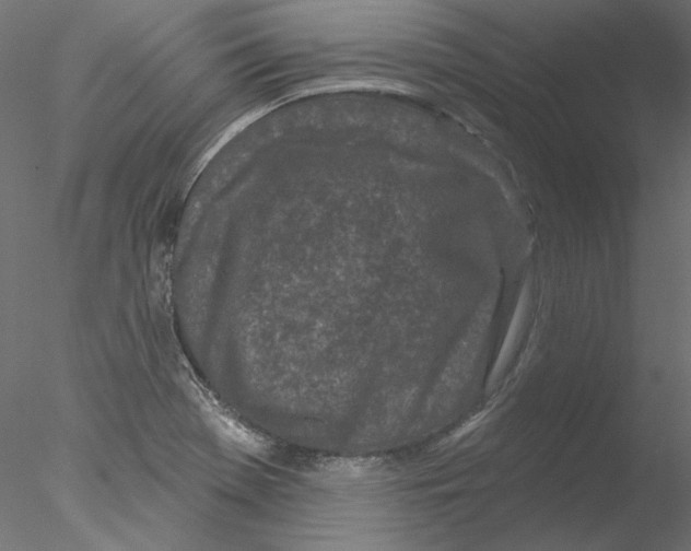 X0000076381369200611031618