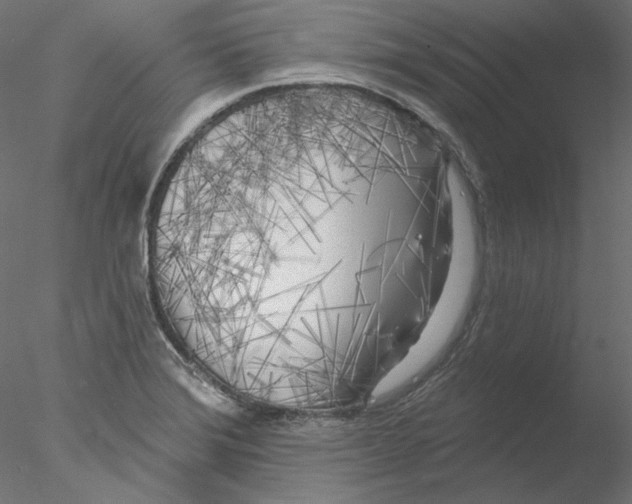 X0000076381372200611031618