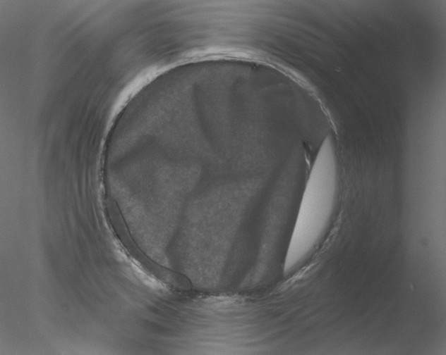 X0000076381373200611031618