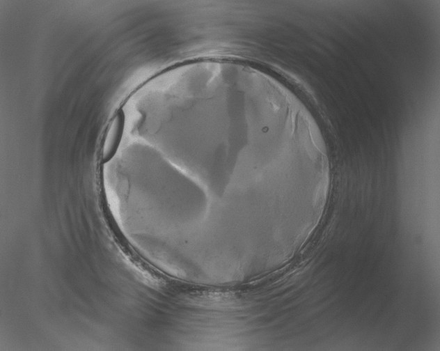 X0000076381375200611031618