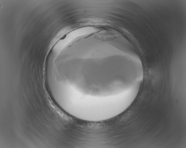 X0000076381378200611031618