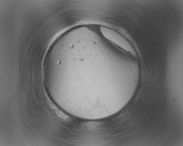 X0000076381380200611031618