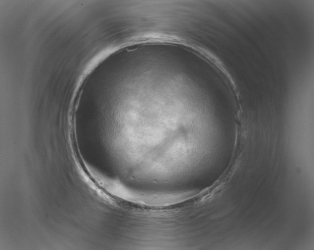 X0000076381381200611031618