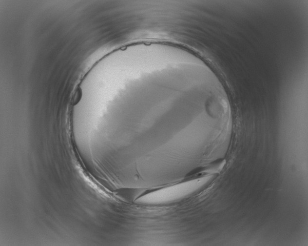 X0000076381382200611031618