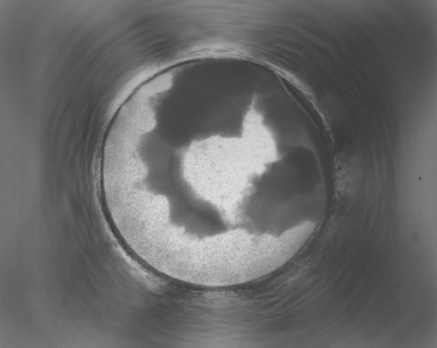 X0000076381383200611031618