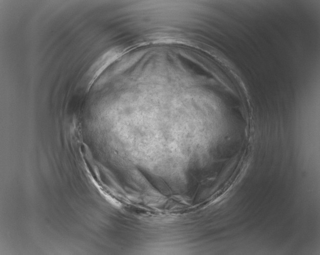 X0000076381385200611031618