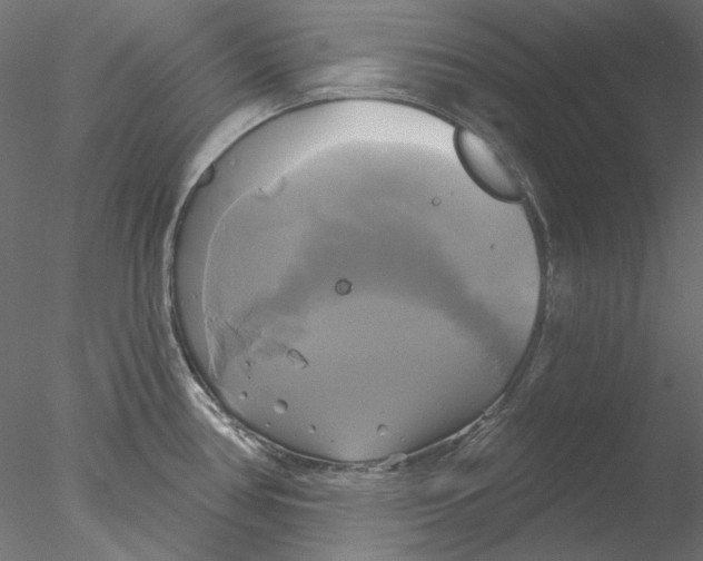 X0000076381386200611031618