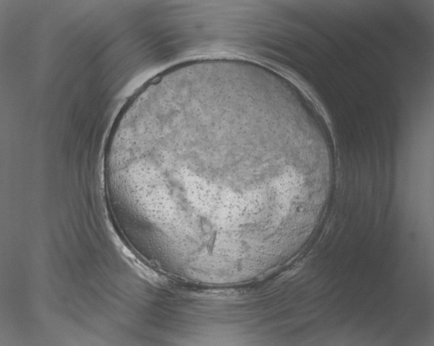 X0000076381388200611031618