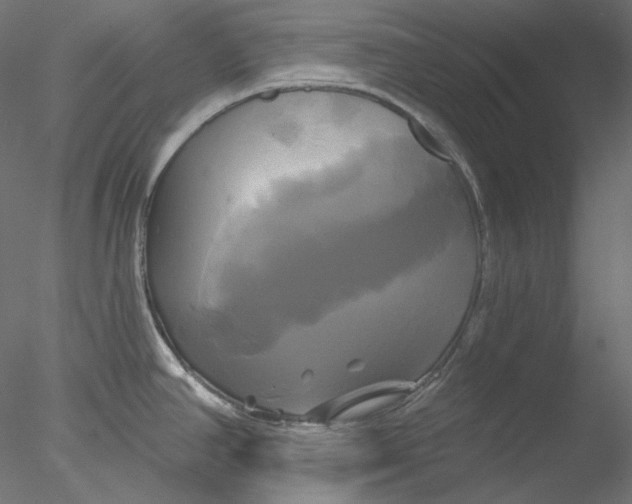 X0000076381390200611031618