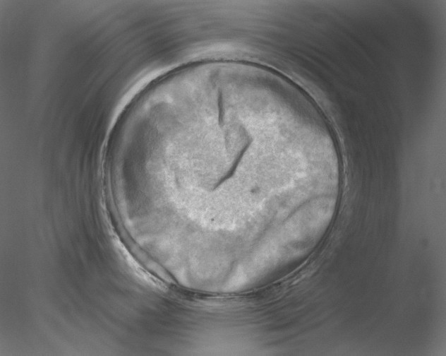 X0000076381392200611031618