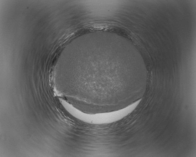 X0000076381394200611031617