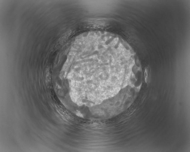 X0000076381395200611031617