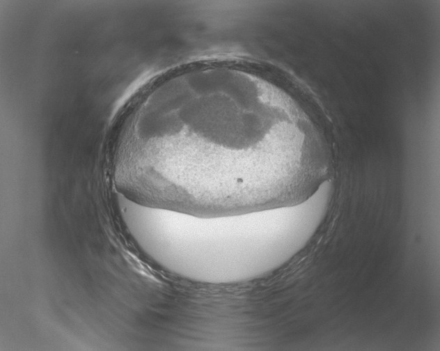 X0000076381400200611031617