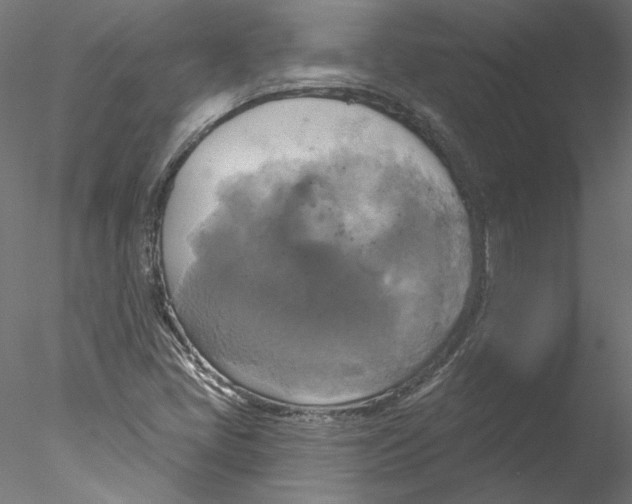 X0000076381405200611031617