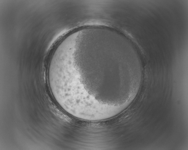 X0000076381408200611031617