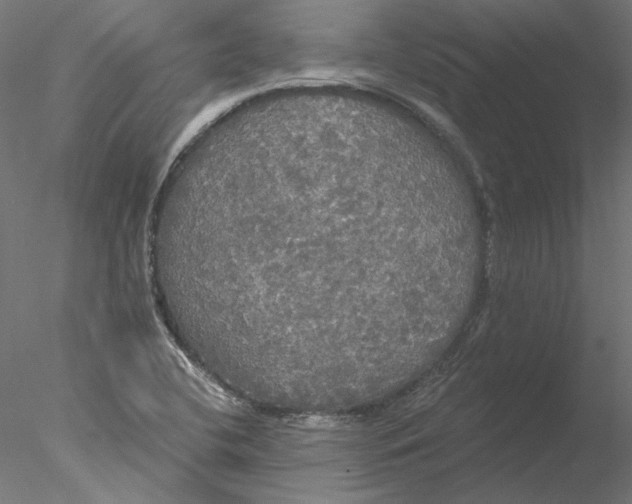 X0000076381412200611031617