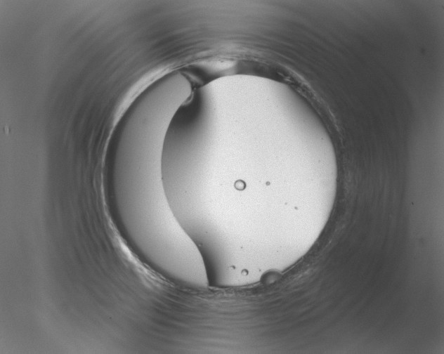 X0000076381418200611031618