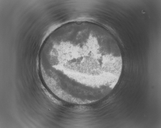 X0000076381420200611031618